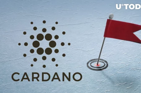 Cardano Community Raises Red Flags on Two Projects: Details