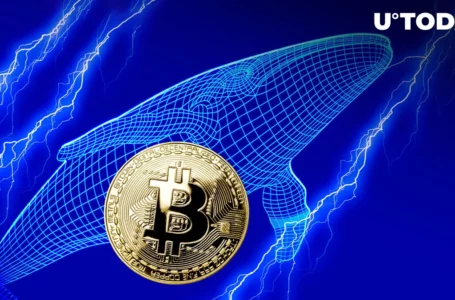 100,000 BTC Sold or Redistributed by Whales in Past Two Days: Report