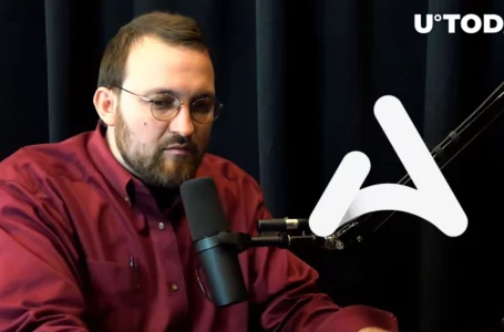 Cardano Founder Says He Might Have Lost 500K in Failed Ardana Project