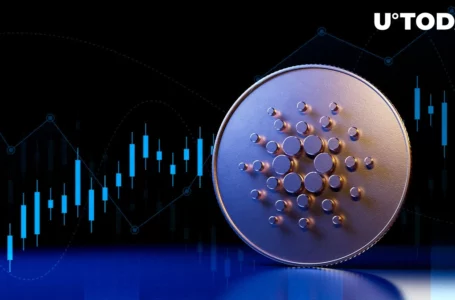 Cardano Sees 90% Daily Increase in Active Addresses, Here’s How It Affects Price