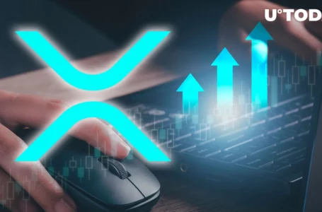 XRP’s 11% Rally Makes It Most Profitable Crypto of Last 24 Hours, Here’s What’s Next