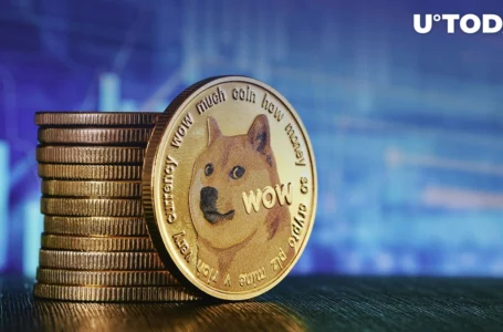 Dogecoin Beats Cardano in Market Capitalization, Earns 8th Place
