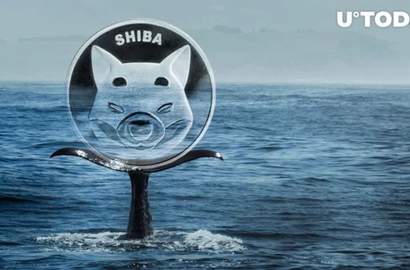 SHIB Reacts to Whales’ Buying, Will Price Burn Extra Zero?