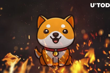 Here’s How Massive Amount of BabyDoge Can Be Burned: Details