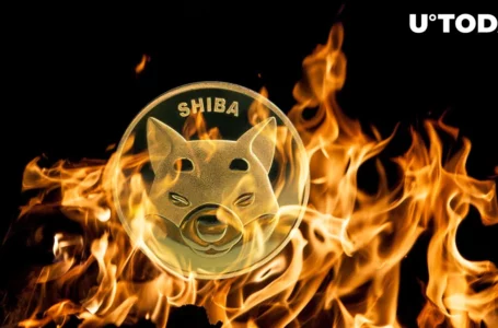 Shiba Inu Sees Nearly 100% Weekly Burns, What’s Next on SHIB Price?