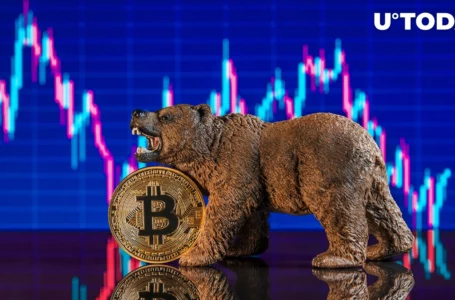 Most Americans Turn Extremely Bearish on Bitcoin