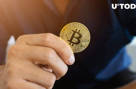 Number of Bitcoin Holders at All-time High as Bottom Draws Near: Details