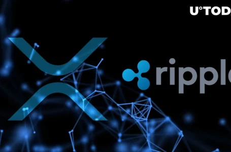 Are XRP & XRPL Centralized? Ripple Executives Argue