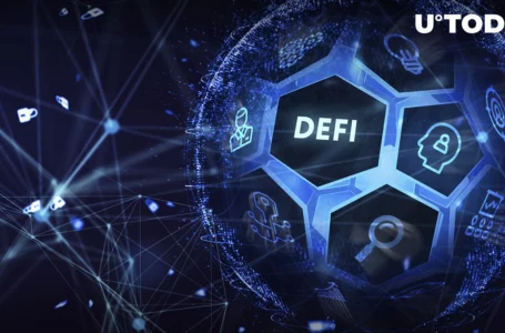 Whole DeFi Industry Dominated by Just Two Applications