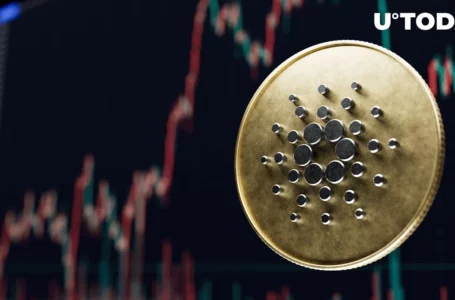 Cardano Blockchain Insights Reveal Abnormal Increase in This Metric: Details