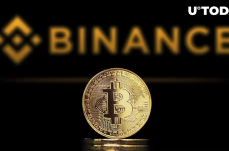 Bitcoin Worth $2 Billion Transferred from Binance on Market Dip