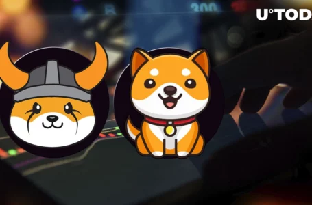 SHIB Rivals FLOKI and BabyDoge Prepare Major Announcements: Details
