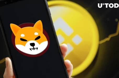 993.3 Billion SHIB Transferred, Half Moved by Binance, Here’s Where