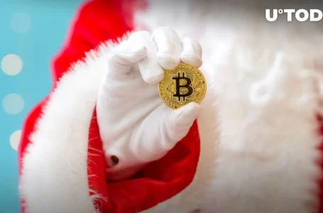50,000 Bitcoin Bought in Five Days as These Investors Prepare for Santa Rally