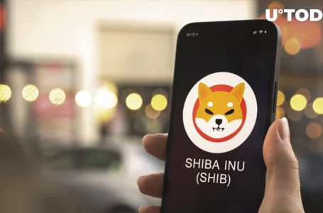 Over 2 Trillion SHIB Wired as Altcoin Hype Reaches Its Peak