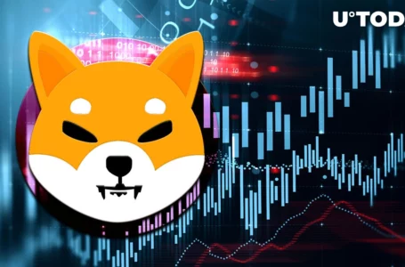 Shiba Inu Ecosystem’s Token up 20% in 2 Weeks, Here’s What Everyone Missed