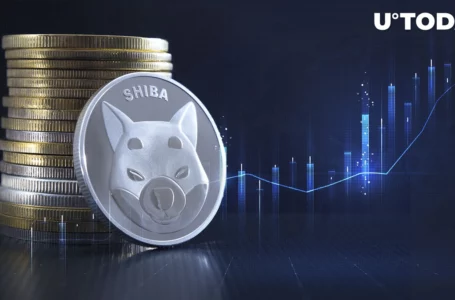SHIB Price Prepares Major Move, Here Are Potential Reasons