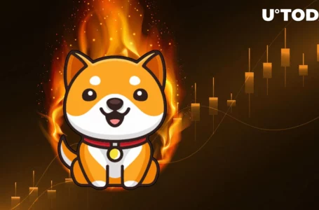 Massive BabyDoge Burn Coming in 2 Days: Report