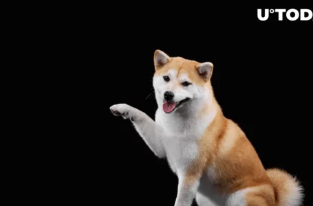 BabyDoge Price Rises as Meme Coin Hits Major Milestone