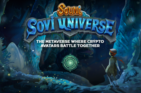 Souni NFT (SON): A 3D MMORPG Game