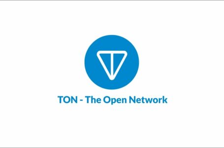 The Open Network (TON) Review