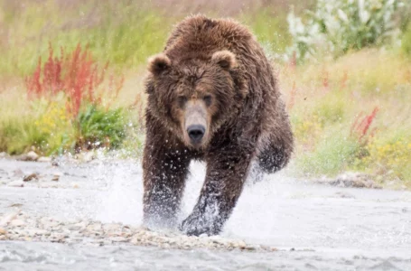 After More Than 380 Days, Crypto Supporters Celebrate Surviving the Second-Longest Bitcoin Bear Market