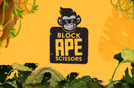 Block Ape Scissors (BAS): A Unique Ecosystem Designed to Allow Apes to Play Exciting Games