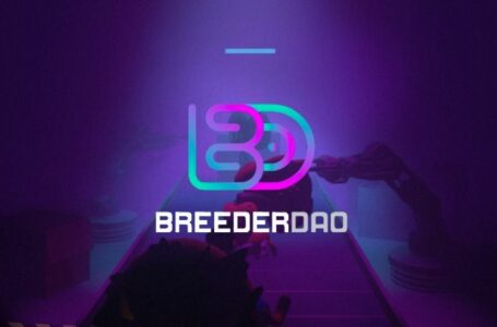 BreederDAO: An NFT Asset Factory of Blockchain Gaming