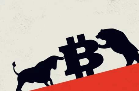 Bitcoin(BTC) Price is in Deep Trouble, but the Whales and Bulls Remain Confident!