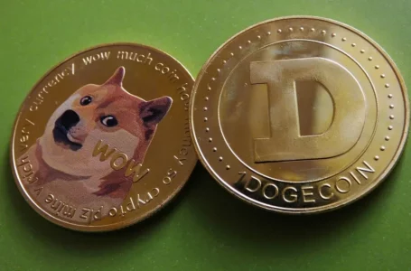 Elon Effect On Dogecoin Continues, DOGE Price Might See An Extended Rally Hitting These levels