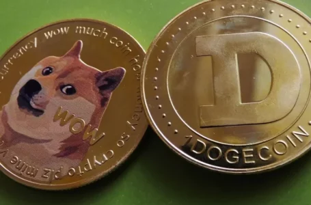 Elon Musk’s Recent Twitter Purchase led to Massive Dogecoin Volatility, How Long Will It Sustain?