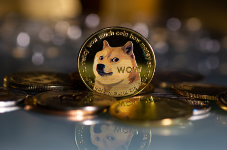 Dogecoin Is Preparing For A Potential Bull Run! Here Is How High DOGE Price Can Fly Next