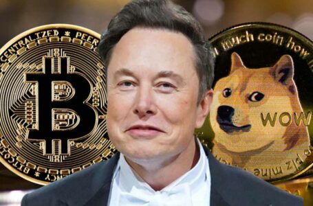 Elon Musk: Bitcoin Will Make It — Dogecoin to the Moon