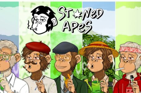 Stoned Ape Crew (PUFF): A Weed-Themed NFT Collection Based on Solana