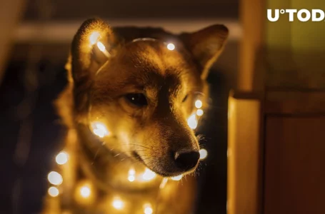 Shiba Inu (SHIB) Forming Reversal Pattern Ahead of New Year