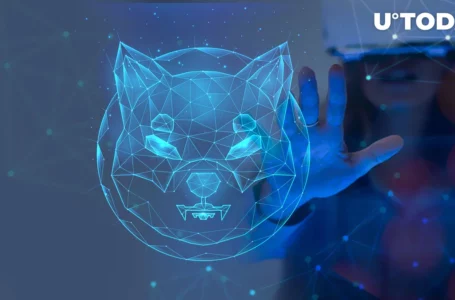 SHIB Metaverse Makes Announcement That Thrills Shiba Inu Community