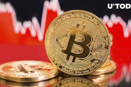 Bitcoin on Track for Biggest Monthly Loss After Terra Collapse: Details