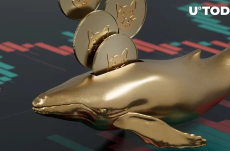 Trillions of SHIB Moved by Whales and Crypto Exchange Under Fire: See Details