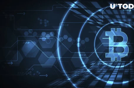 Large Crypto Investors Are Coming Back to Bitcoin and Market