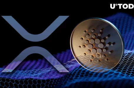 XRP, Cardano: Long-term Opportunities Are Back, Crypto Influencer Predicts