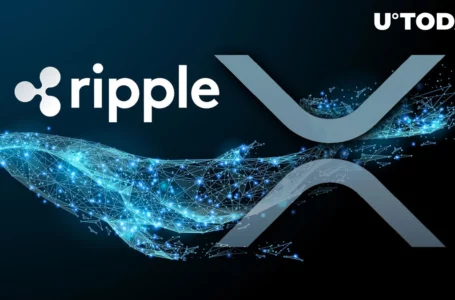 Ripple Withdraws 1 Billion XRP from Escrow, Helping Whales Shift 133 Million XRP