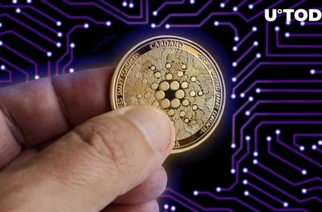 Cardano (ADA) Shows Crazy Development Activity, Competitors Massively Outperformed