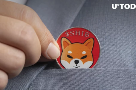 Hundreds of Billions of SHIB Moved as SHIB Becomes Most Wanted Coin for Whales