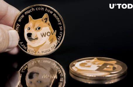 DOGE Now Wanted Desperately by BSC Whales, Here’s Why