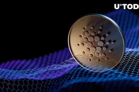 Cardano Network 8 Times More Decentralized Than Ethereum, Here Are Details