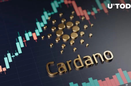 Cardano Ranks Among Top Staking Networks, Report Finds