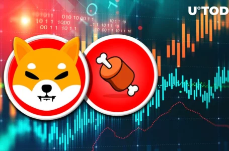 Shiba Inu’s BONE Up 10% as Price Gains on Positive News Inflow