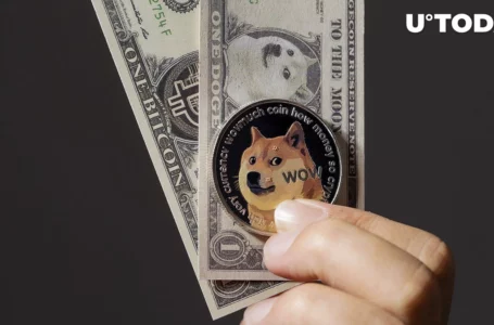 Dogecoin’s (DOGE) Profitability Remains Above 62% Despite Price Reversal