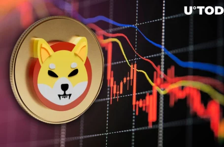 All Shiba Inu (SHIB) Indicators Are Flashing Red, But Is It That Bad?