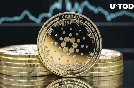 Cardano’s ADA Remains Slightly Below “Fair Value” per Metric: Details